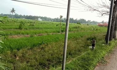 Tanah Cocok Buat Investasi dan Usaha pinggi Jalan Raya