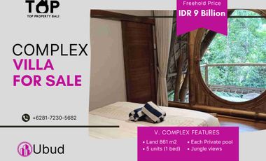 kompleks villa 5 units @1BR di Tegallalang Ubud Bali Hak Milik dengan Jungle View