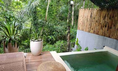 kompleks villa 5 units @1BR di Tegallalang Ubud Bali Hak Milik dengan Jungle View