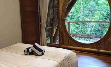 kompleks villa 5 units @1BR di Tegallalang Ubud Bali Hak Milik dengan Jungle View