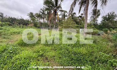 RESIDENTIAL LAND AT TORAN, APARRI, CAGAYAN