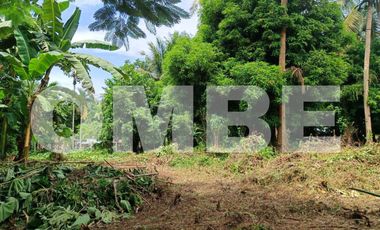 RESIDENTIAL LAND in DITA LEGASPI