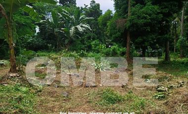 RESIDENTIAL LAND in DITA LEGASPI