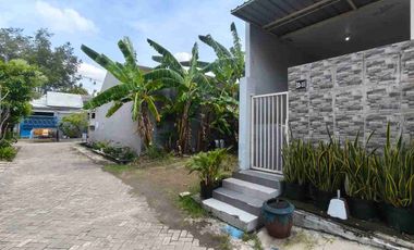 Disewakan Rumah 1 lantai di Buduran