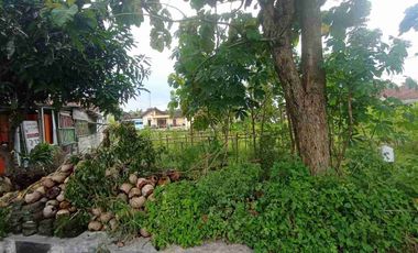 TANAH MURAH DI KOTA BANTUL