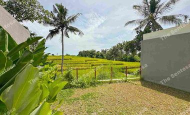 Villa Kedungu View Sawah Abadi Brand new harga super ramah