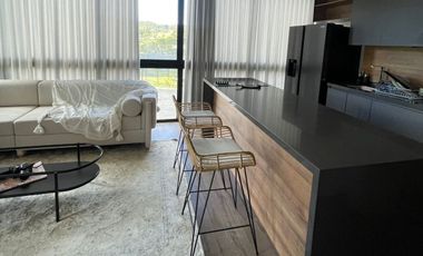 Apartamento en Arriendo en Alto De Palmas Envigado Envigado Antioquia