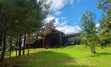 Preciosa Parcela con una acogedora e iluminada casa, inmersa en bosque nativo, lomaje suave. Villarrica - Loncoche