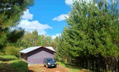 Preciosa Parcela con una acogedora e iluminada casa, inmersa en bosque nativo, lomaje suave. Villarrica - Loncoche