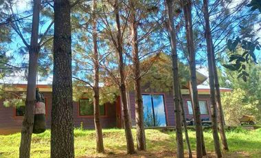 Preciosa Parcela con una acogedora e iluminada casa, inmersa en bosque nativo, lomaje suave. Villarrica - Loncoche