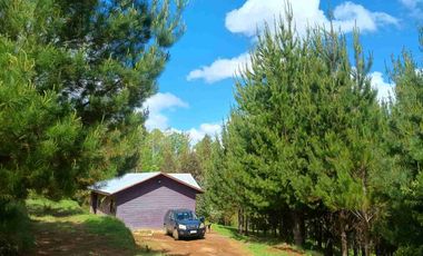 Preciosa Parcela con una acogedora e iluminada casa, inmersa en bosque nativo, lomaje suave. Villarrica - Loncoche