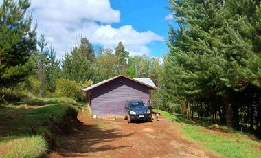 Preciosa Parcela con una acogedora e iluminada casa, inmersa en bosque nativo, lomaje suave. Villarrica - Loncoche