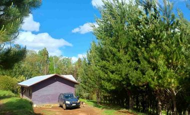 Preciosa Parcela con una acogedora e iluminada casa, inmersa en bosque nativo, lomaje suave. Villarrica - Loncoche