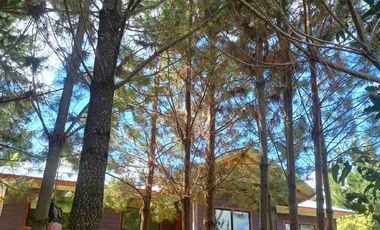 Preciosa Parcela con una acogedora e iluminada casa, inmersa en bosque nativo, lomaje suave. Villarrica - Loncoche