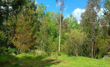 Preciosa Parcela con una acogedora e iluminada casa, inmersa en bosque nativo, lomaje suave. Villarrica - Loncoche