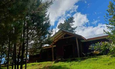Preciosa Parcela con una acogedora e iluminada casa, inmersa en bosque nativo, lomaje suave. Villarrica - Loncoche