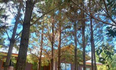 Preciosa Parcela con una acogedora e iluminada casa, inmersa en bosque nativo, lomaje suave. Villarrica - Loncoche