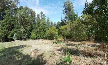 Preciosa Parcela con una acogedora e iluminada casa, inmersa en bosque nativo, lomaje suave. Villarrica - Loncoche