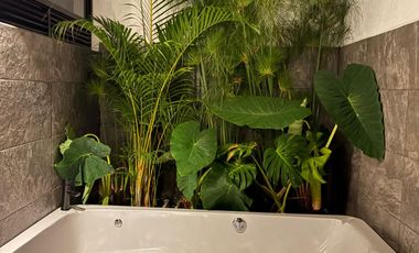 Venta de Casa Campestre en Sajonia – ¡Ubicación Inmejorable!