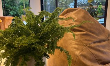 Venta de Casa Campestre en Sajonia – ¡Ubicación Inmejorable!