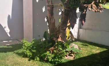 CUERNAVACA RENTA CASA ZONA NORTE: 3 RECS.