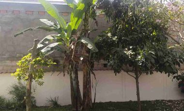 VENDO PARCELA ACAPULCO UBICADA 500 METROS CON ESCRITURA