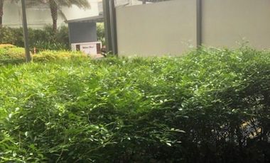 For Sale: Studio Unit at Avida Towers Prime Taft, Pasay City