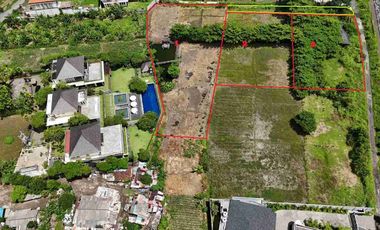 DIJUAL TANAH PADANG GALAK SANUR