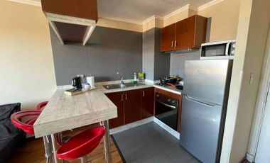 Departamento 1D  amoblado centro