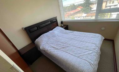 Departamento 1D  amoblado centro