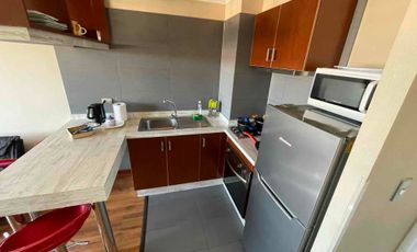 Departamento 1D  amoblado centro