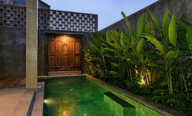 Villa Mewah view Sawah di Ubud