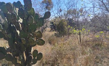 8700 M2 DE TERRENO SOBRE CARRETERA EN ACCESO A TECALI PUEBLA.