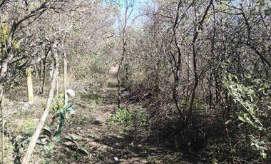 8700 M2 DE TERRENO SOBRE CARRETERA EN ACCESO A TECALI PUEBLA.