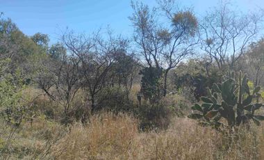 8700 M2 DE TERRENO SOBRE CARRETERA EN ACCESO A TECALI PUEBLA.