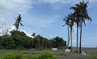 Prime Beachfront Land for Sale – Saba Beach, Gianyar, Bali