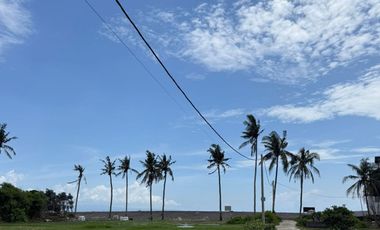 Prime Beachfront Land for Sale – Saba Beach, Gianyar, Bali