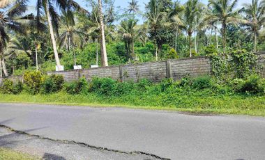 jual tanah murah di tabanan bali