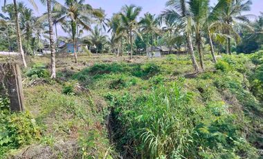 jual tanah murah di tabanan bali