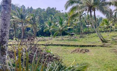 jual tanah murah di tabanan bali