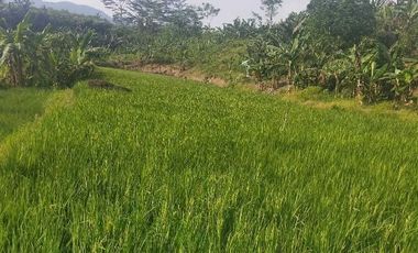 TANAH 9.318 METER PERSEGI VIEW PEGUNUNGAN & SUNGAI - COCOK UNTUK VILLA, GLAMPING, PEKEBUNAN ATAU ROJECT SOSIAL