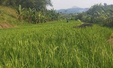 TANAH 9.318 METER PERSEGI VIEW PEGUNUNGAN & SUNGAI - COCOK UNTUK VILLA, GLAMPING, PEKEBUNAN ATAU ROJECT SOSIAL