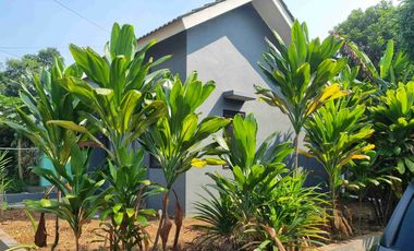 Rumah Murah Harvest City posisi Hook Harga di bawah 350 Jutaan