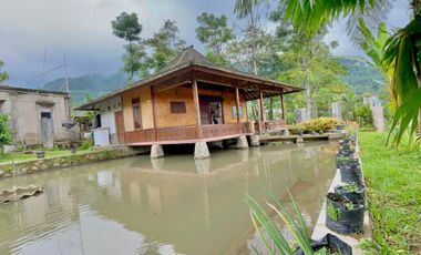 Rumah Villa + Kolam Ikan di Desa Wisata Cihanjawar Bojong Purwakarta