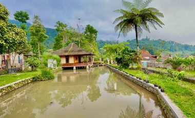 Rumah Villa + Kolam Ikan di Desa Wisata Cihanjawar Bojong Purwakarta