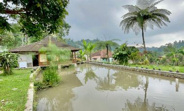 Rumah Villa + Kolam Ikan di Desa Wisata Cihanjawar Bojong Purwakarta