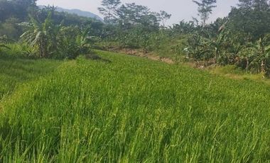 TANAH 9.318 METER PERSEGI VIEW PEGUNUNGAN & SUNGAI - COCOK UNTUK VILLA, GLAMPING, PEKEBUNAN ATAU ROJECT SOSIAL