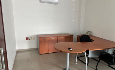 OFICINAS EN RENTA EN EL CENTRO DE VERACRUZ | ARLETTE FLORES
