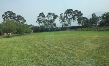 VENTA DE TERRENO AGRICOLA -MANCHAY BAJO-PACHACAMAC
