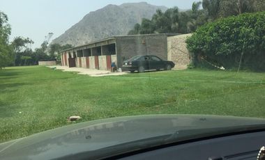 VENTA DE TERRENO AGRICOLA -MANCHAY BAJO-PACHACAMAC